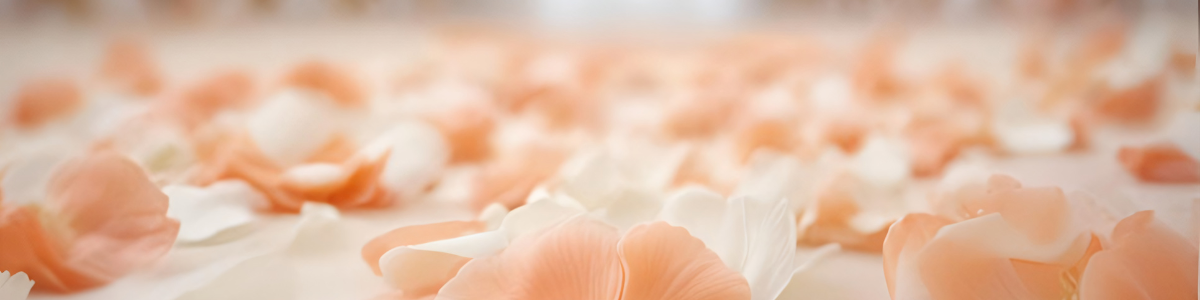 「ベトナム縁結び」を正式に引き継ぎ